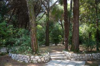 Pine-front bungalow steps from the beach - 7