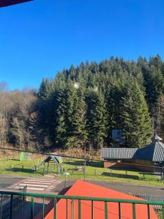 Pokoje gościnne u Faronow - 8