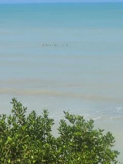 SaBriMo - Dibulla - 2