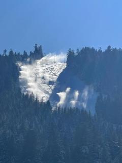 Le Chalet des 4 Chouettes - 4