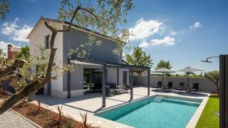 Modern villa Ana with 2 bedrooms in Tinjan - 0