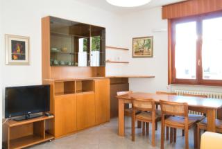 Terrazza Alpina in centro Barzio - 3