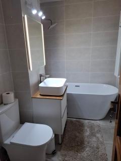 Accommodation Craiova - 2-room luxury apartment - 2