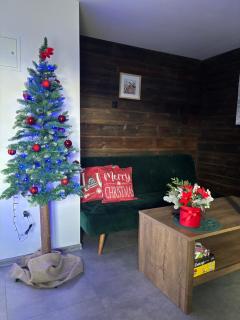 Apartament Zielone Wzgórze - 8