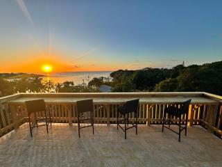 West End's Famous Comfy Sloth - 2