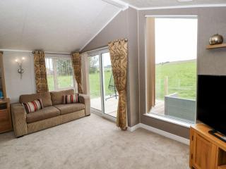 No 8 Hillcote Lodge - 4