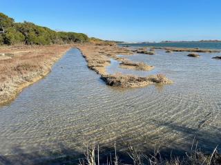 Modern accommodation with a lovely patio - Eraclea Mare - 1