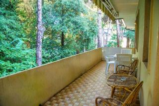 Terrace home by the pinewood - 0