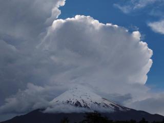 Petrohue hospedaje Dónde la Nena - Petrohué - 9