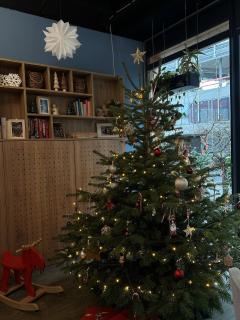 Levy's Rooms & Breakfast - 8