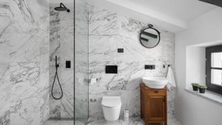 Luxury villa Covri with pool and grill in Novigrad - 4