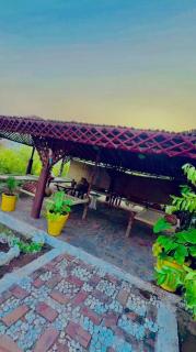 Sikandri farm house - 4