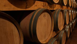 Au coeur des vignes, à deux pas de la mer - 2