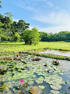 Sun moon villa II - 8