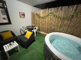 Joli F2 climatisé avec Jacuzzi - La Jacinthe - 3