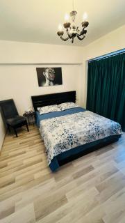CHIC Apartment Piata Constitutiei - near the Palace of Parliament - 4