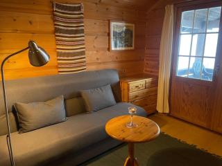 Koselig Sentral Eldre Hytte Med Peis - 1