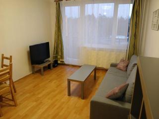 Apartmán Nové Město na Moravě - 2