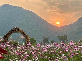 Cuc Phuong Tropical Retreat Ninh Binh - 3