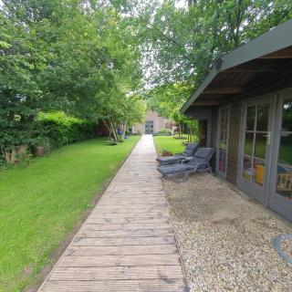 6 - Persoons Forest 217 Sauna Bungalow - 6