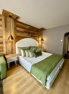 Hotel Borovets Palace - 8