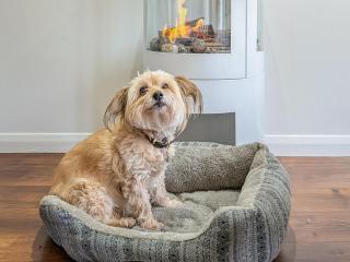 2 Bed in Bideford 79441 - 7