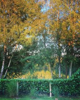 Fachwerkhaus am See mit Fass-Sauna im Münsterland - 3