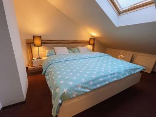 Podkrovní byt nedaleko Klínovce - 4