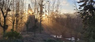 Maison de caractère - L'évasion forestière - 6