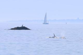 Large home with sea view - 4