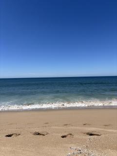 Cabaña en Santa Monica, entre el mar y la Laguna José Ignacio - 8