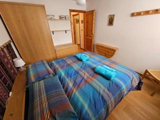 Splendid Chalet 300 meters from the Slopes - 4