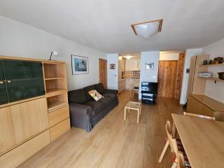 Splendid Chalet 300 meters from the Slopes - 9