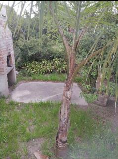 Cabaña&Piscina AUM para 6 personas - 2