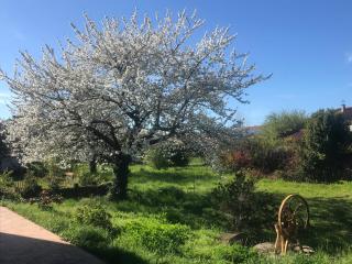 Chambres et table d'hôtes Le Pontet - 8