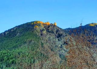 Bungalow confortable à Escaro avec piscine partagée - 2