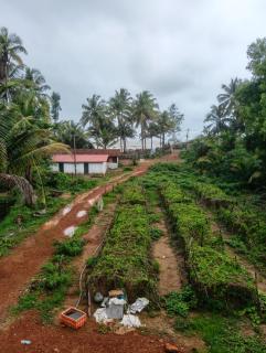 The Brine Breeze Gokarna - 6
