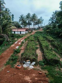 The Brine Breeze Gokarna - 7