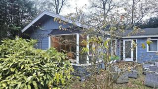 Cosy Forest Cabin - 9