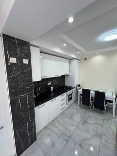 N1 place tolstoi str - 2