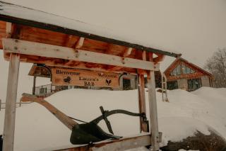 Luxury farm Stay, Alexandria - 8