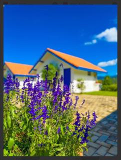 Quinta dos Faisões - 8