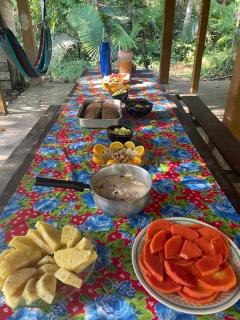 Caminho das pedras-Medicina, Consciência e espiritualidade- Hospedaria na floresta com saída ao Igarapé - 9