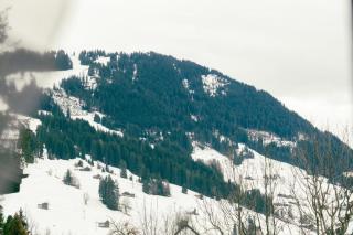 Charming Apartment with Alpine Ambiance - 3