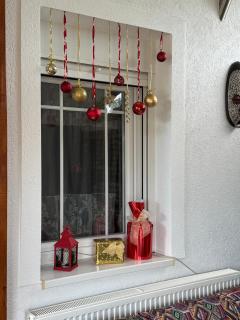 Tiva kucazaodmor-Fruska Gora - 9