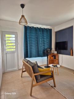 F2 magnifique vue mer - 3