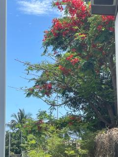 Villa MYA Location - 7