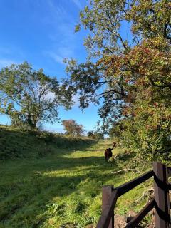 West Coast Whistlestop - 6