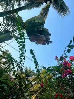 Sribhumi Homestay Sreemangal - 1
