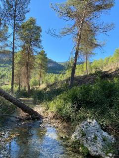 Casa paz y calma - Moratalla - 3